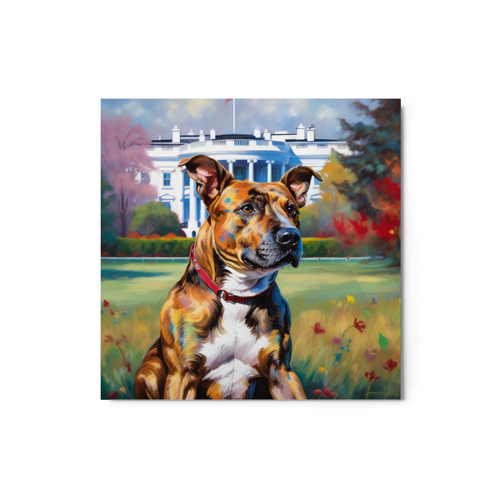 PugMug Custom Tony Hawk Metal Print