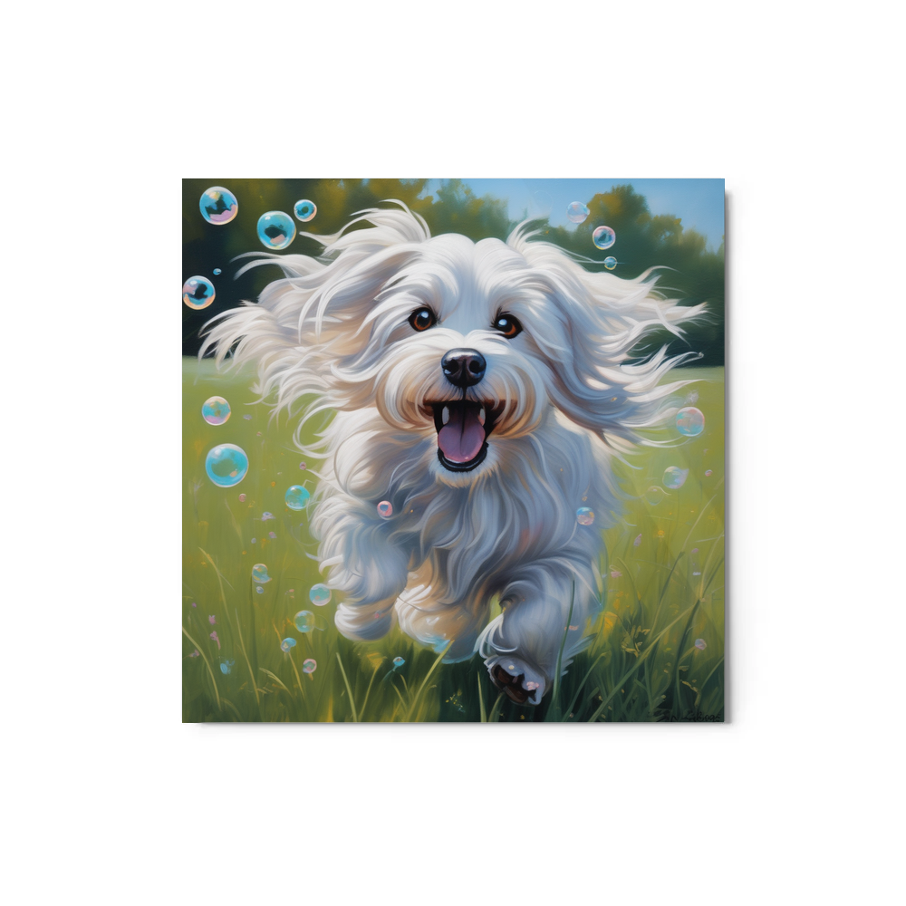 PugMug Custom White Havanese Dog Metal Print