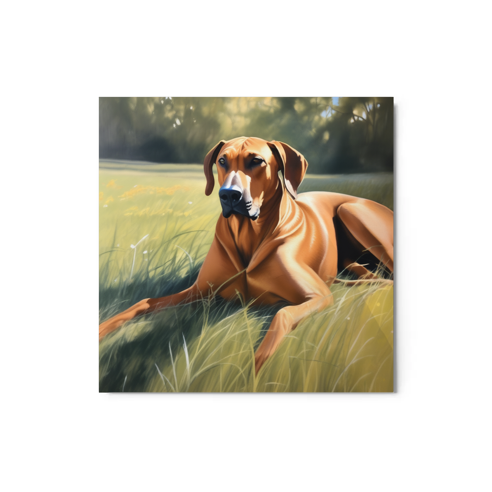 PugMug Custom Rhodesian Ridgeback Metal Print