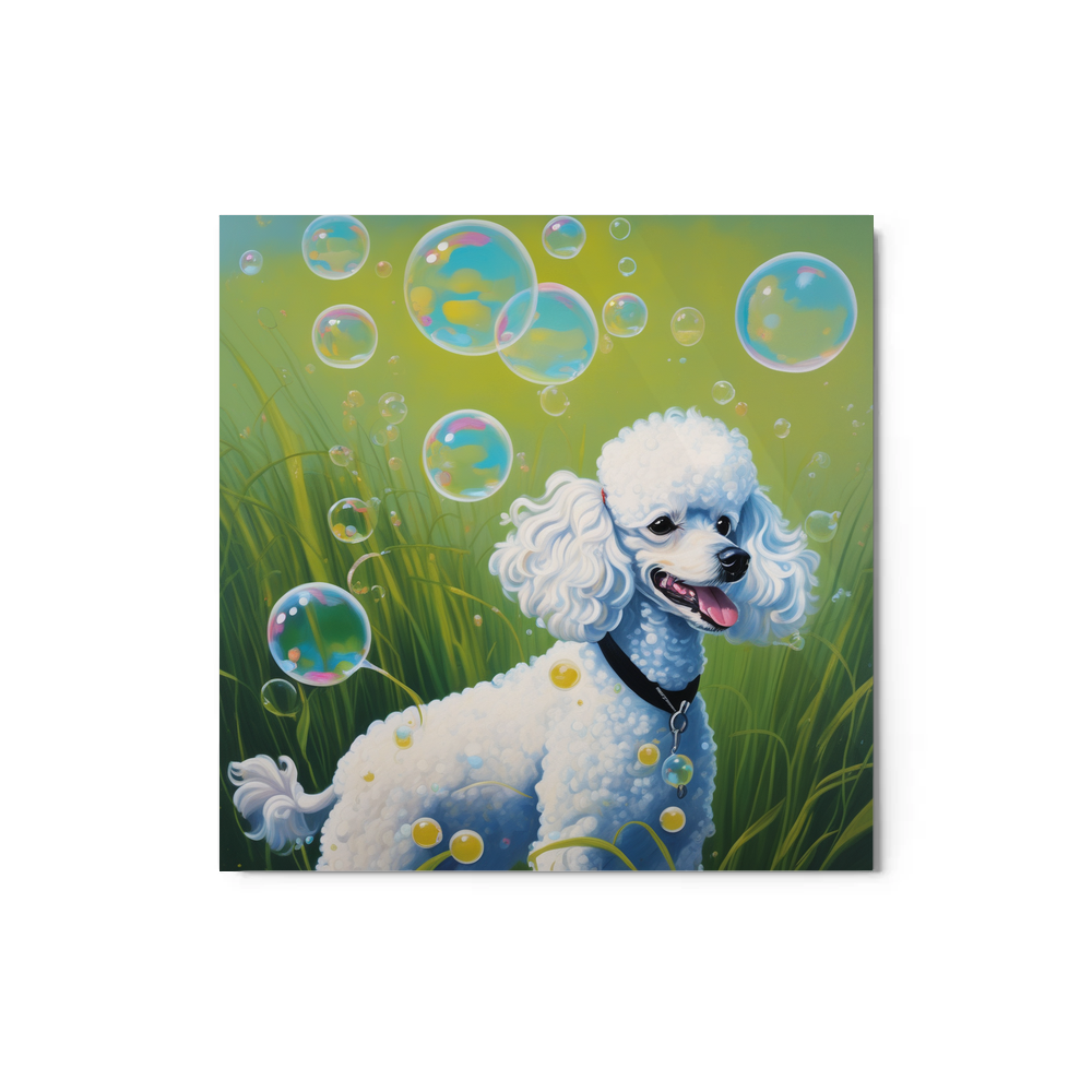 PugMug Custom White Poodle Metal Print