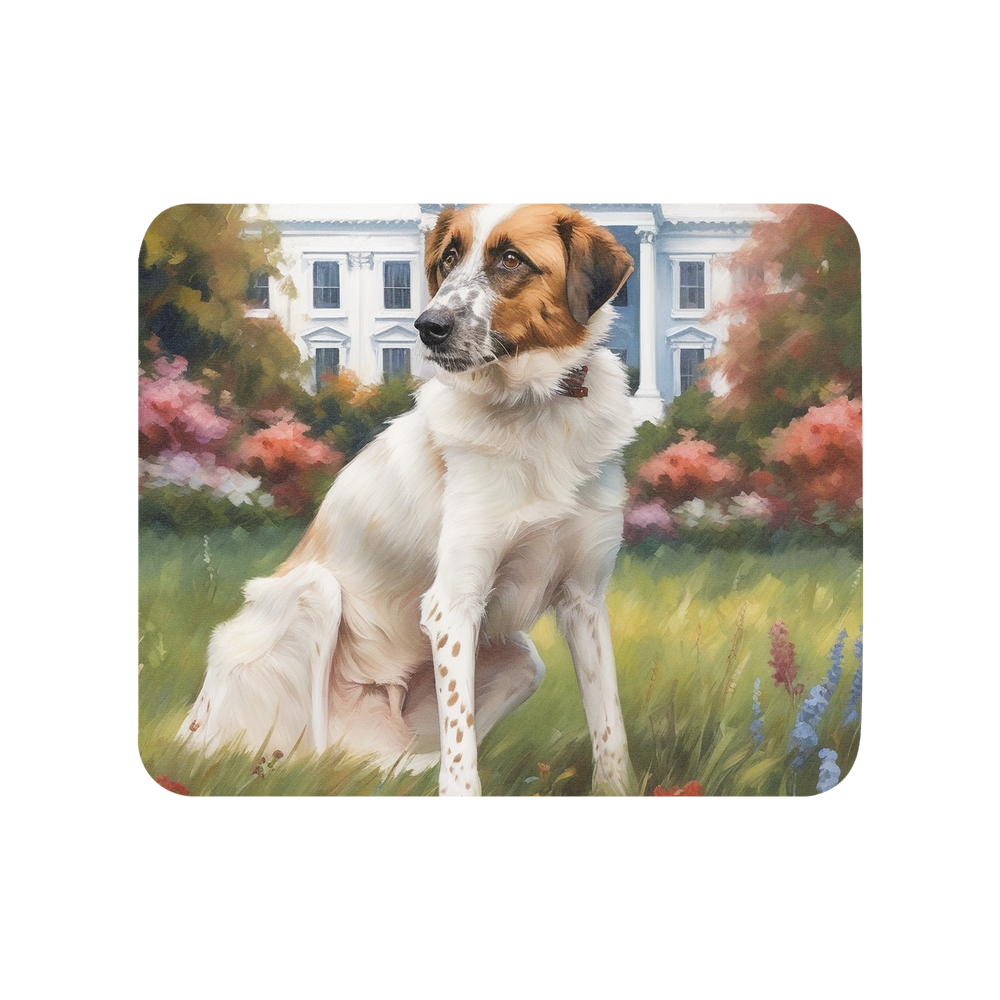 PugMug Custom Hazim Mouse Pad