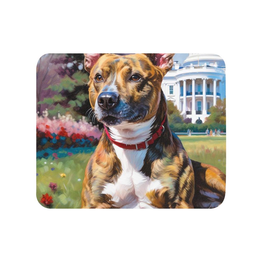 PugMug Custom Tony Hawk Mouse Pad