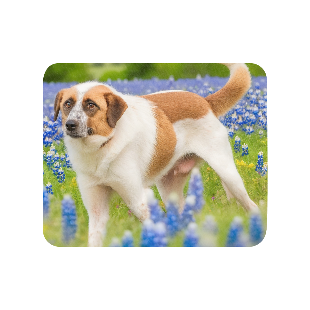 PugMug Custom Hazim Mouse Pad