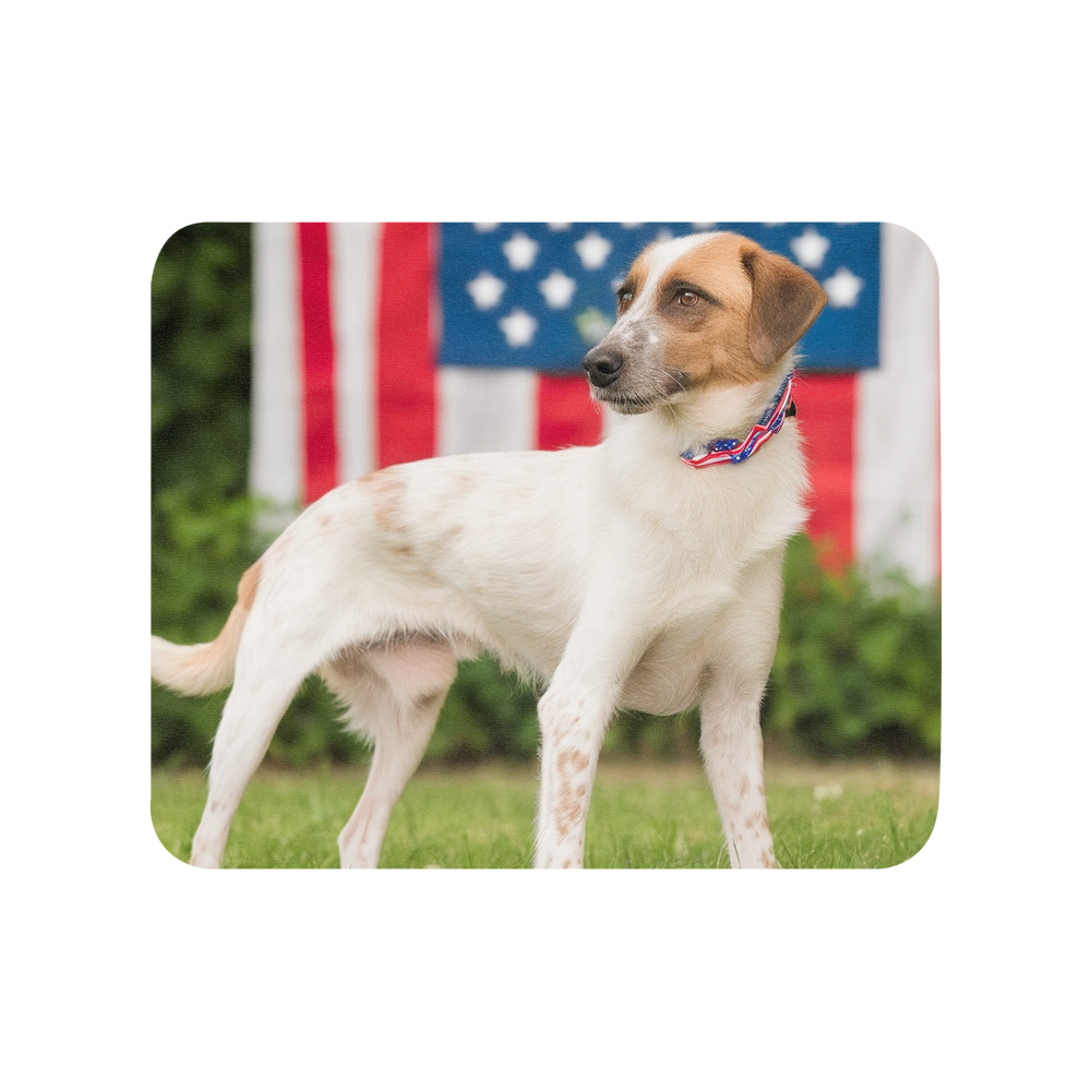 PugMug Custom Hazim Mouse Pad