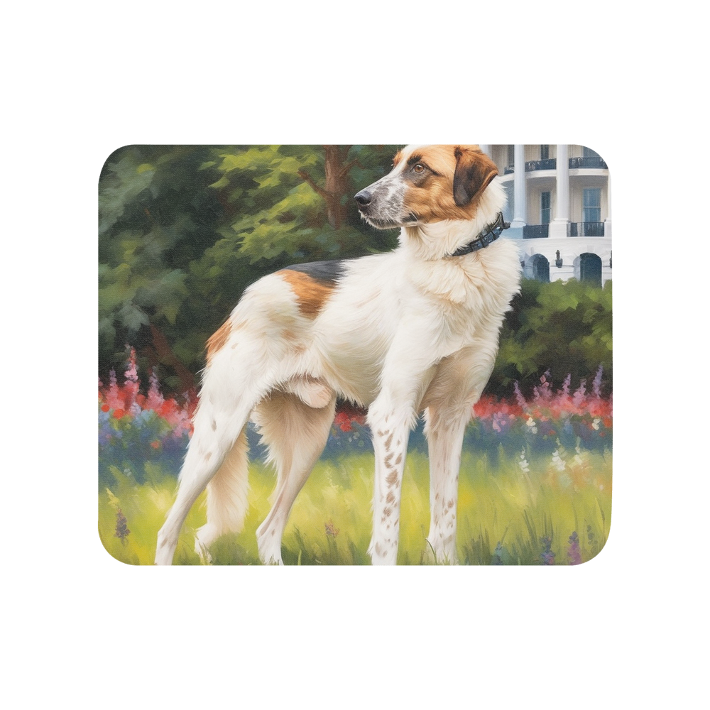 PugMug Custom Hazim Mouse Pad