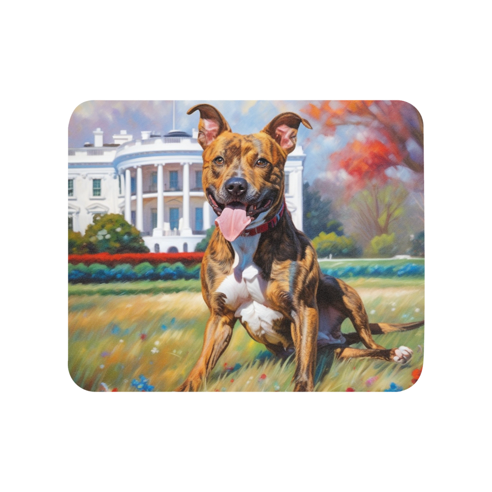 PugMug Custom Tony Hawk Mouse Pad