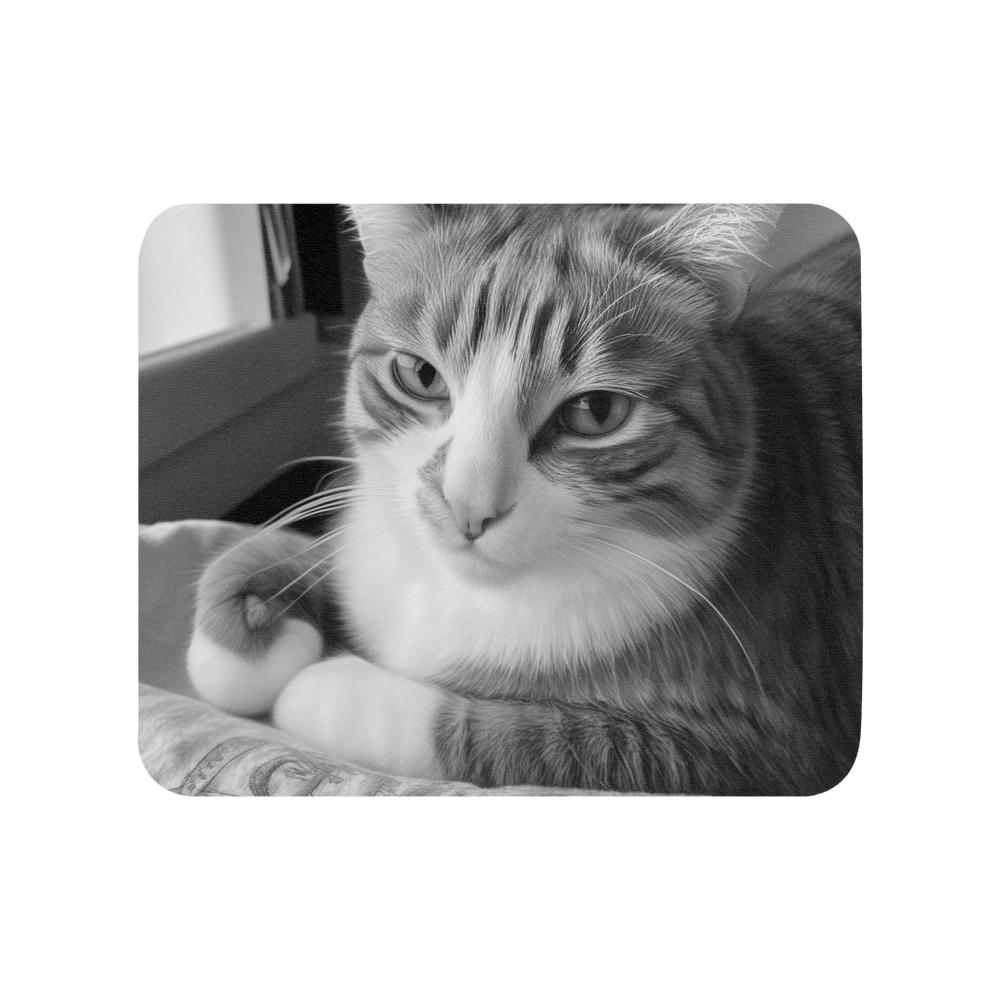 PugMug Custom Jack Jack Mouse Pad