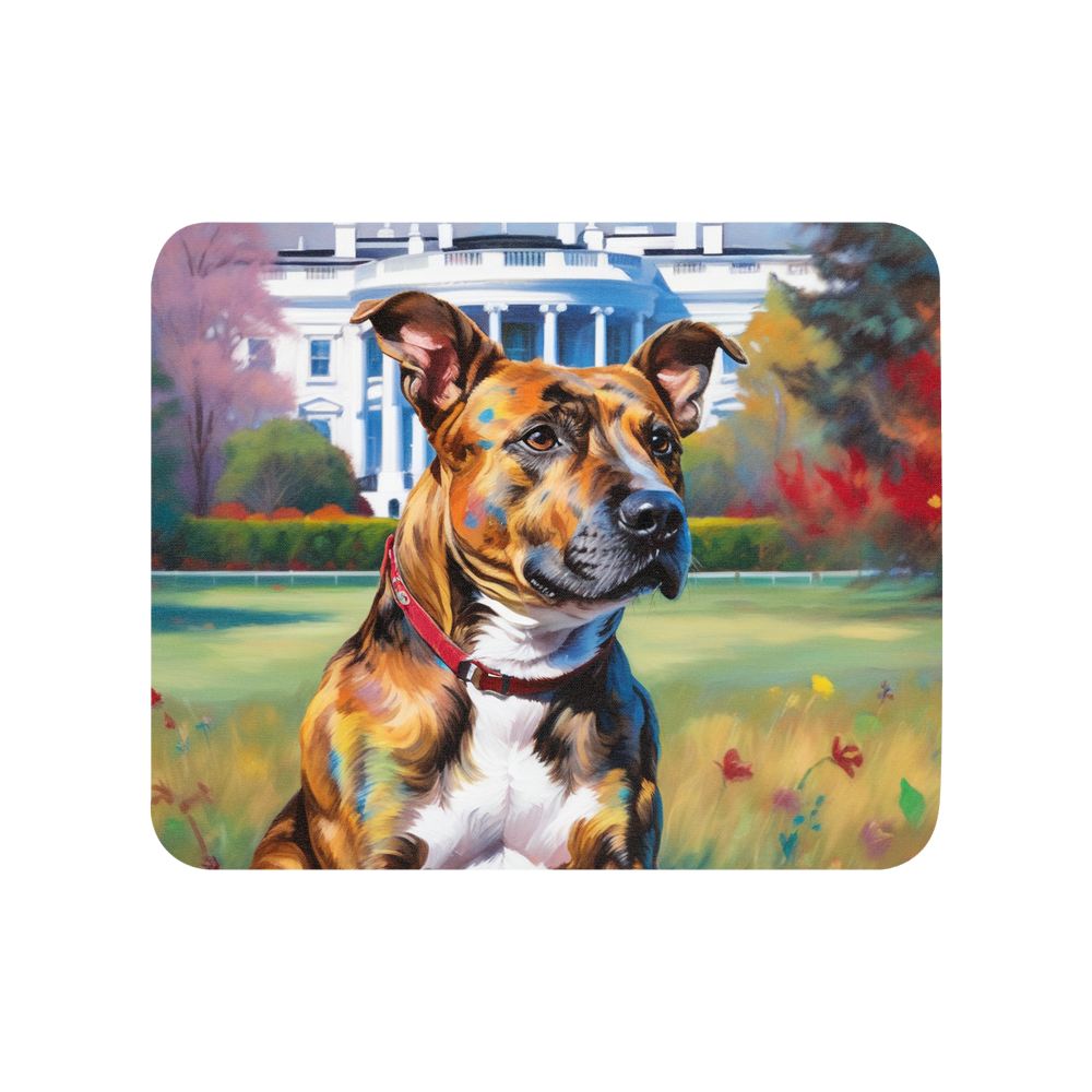 PugMug Custom Tony Hawk Mouse Pad