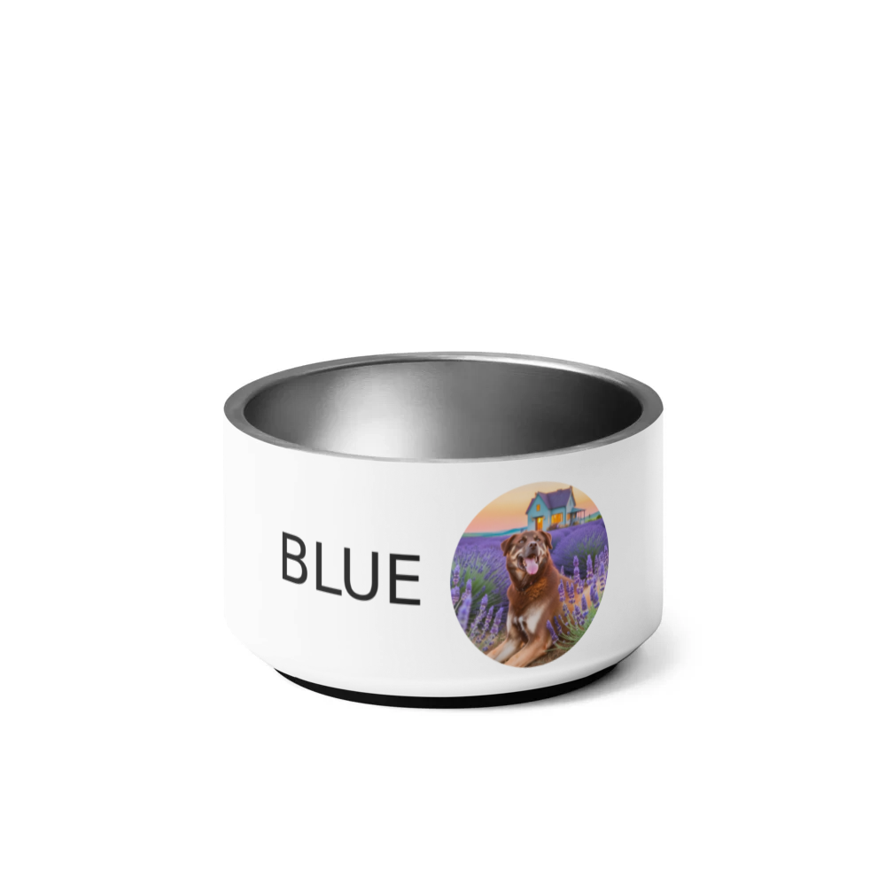 PugMug Custom Blue Pet Bowl