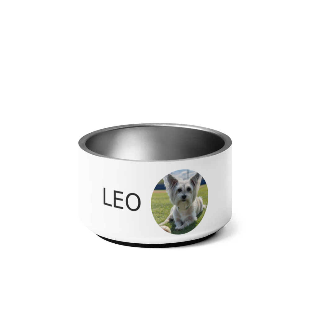 PugMug Custom Leo Pet Bowl