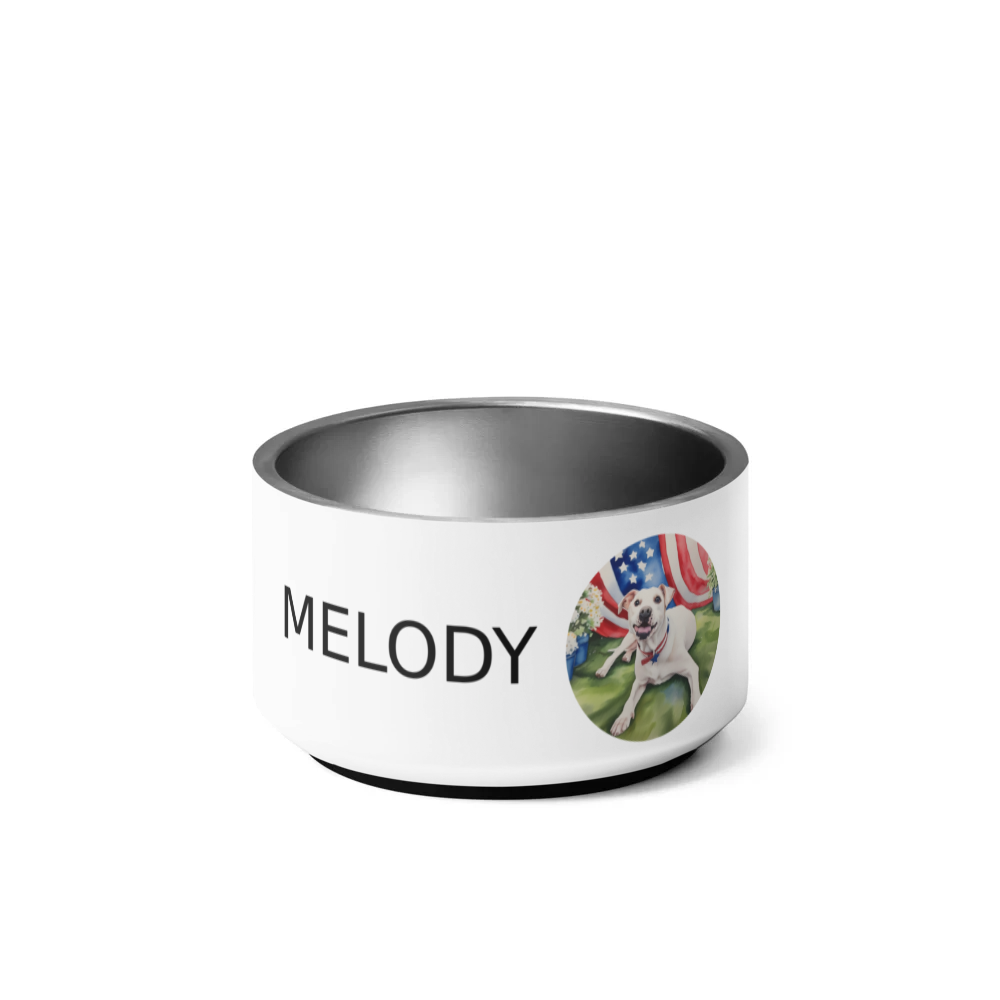 PugMug Custom Melody Pet Bowl