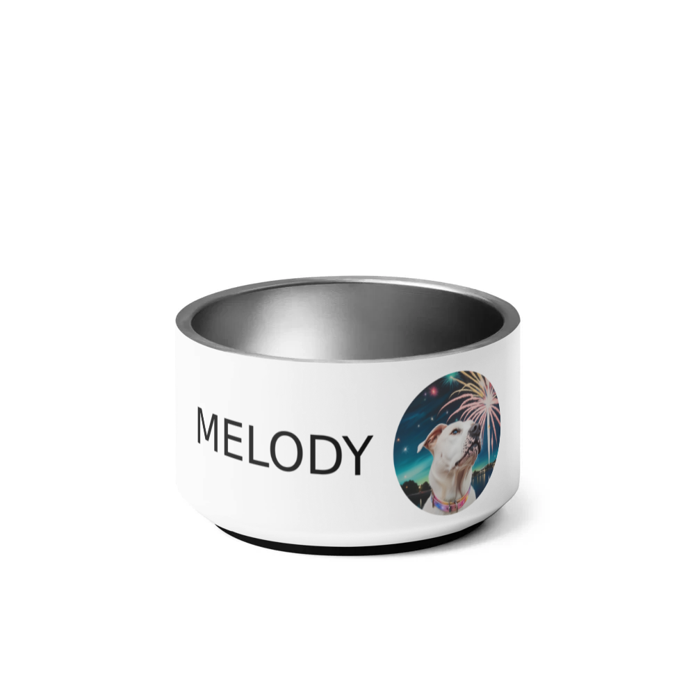 PugMug Custom Melody Pet Bowl