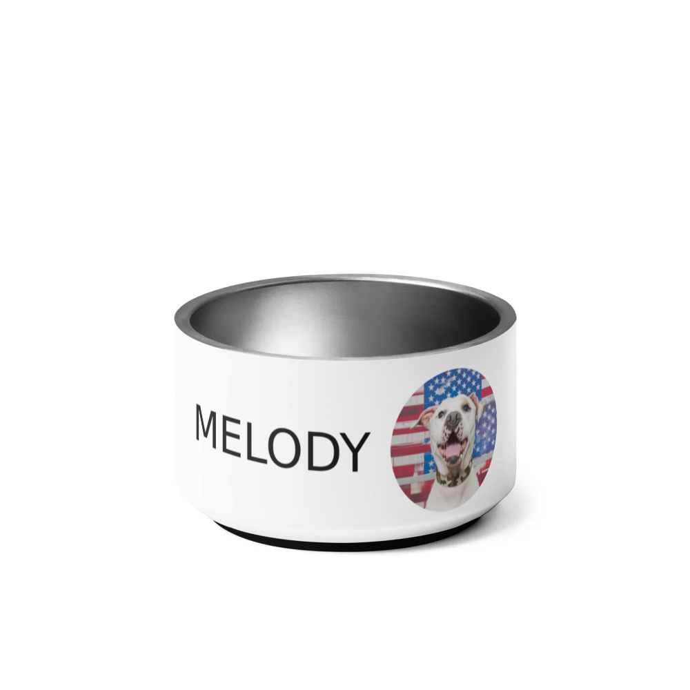 PugMug Custom Melody Pet Bowl