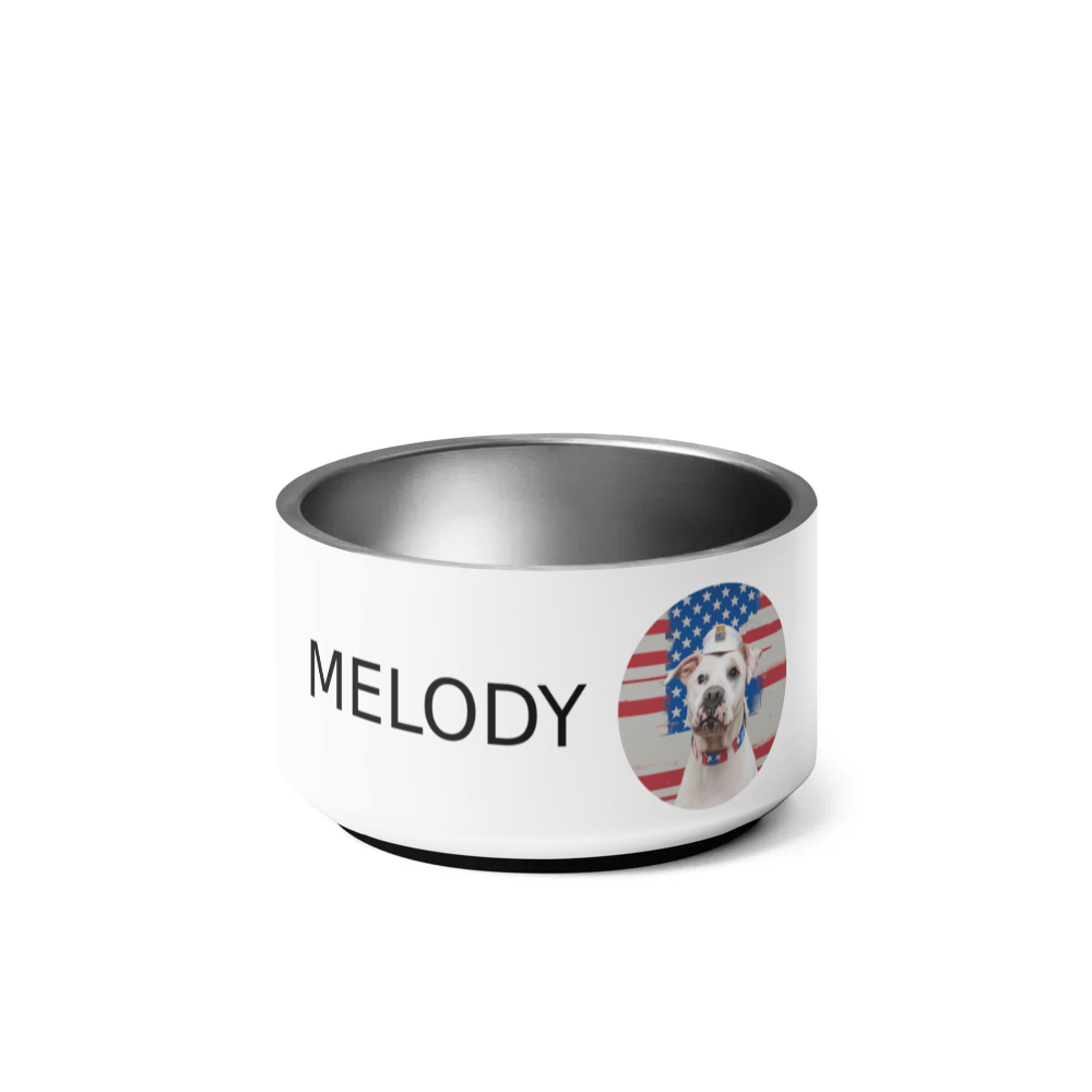 PugMug Custom Melody Pet Bowl