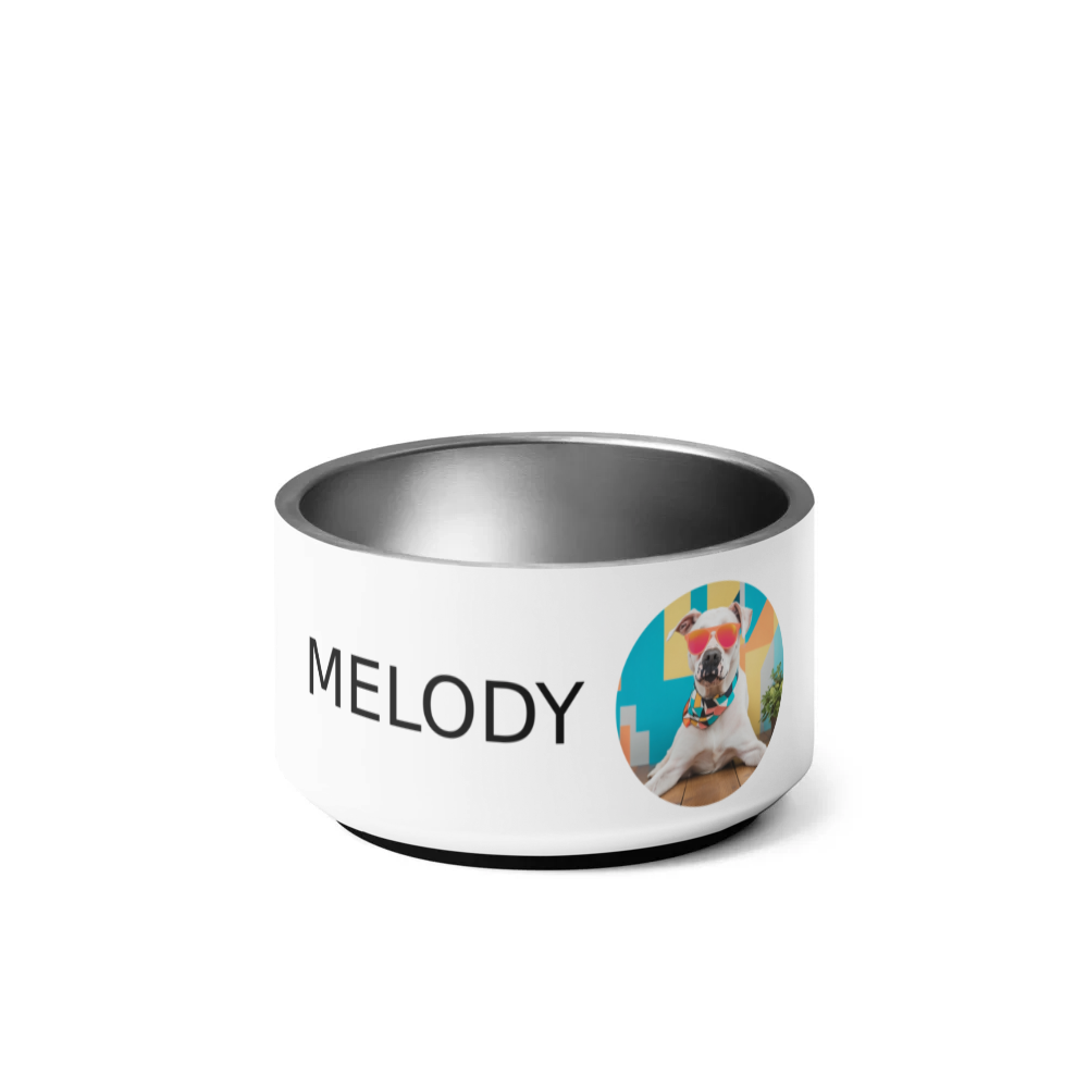 PugMug Custom Melody Pet Bowl