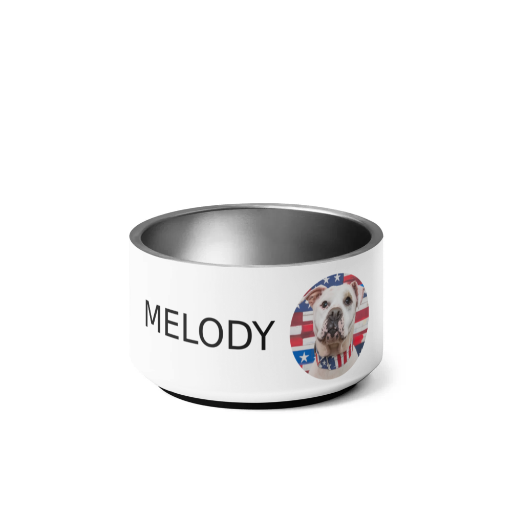 PugMug Custom Melody Pet Bowl