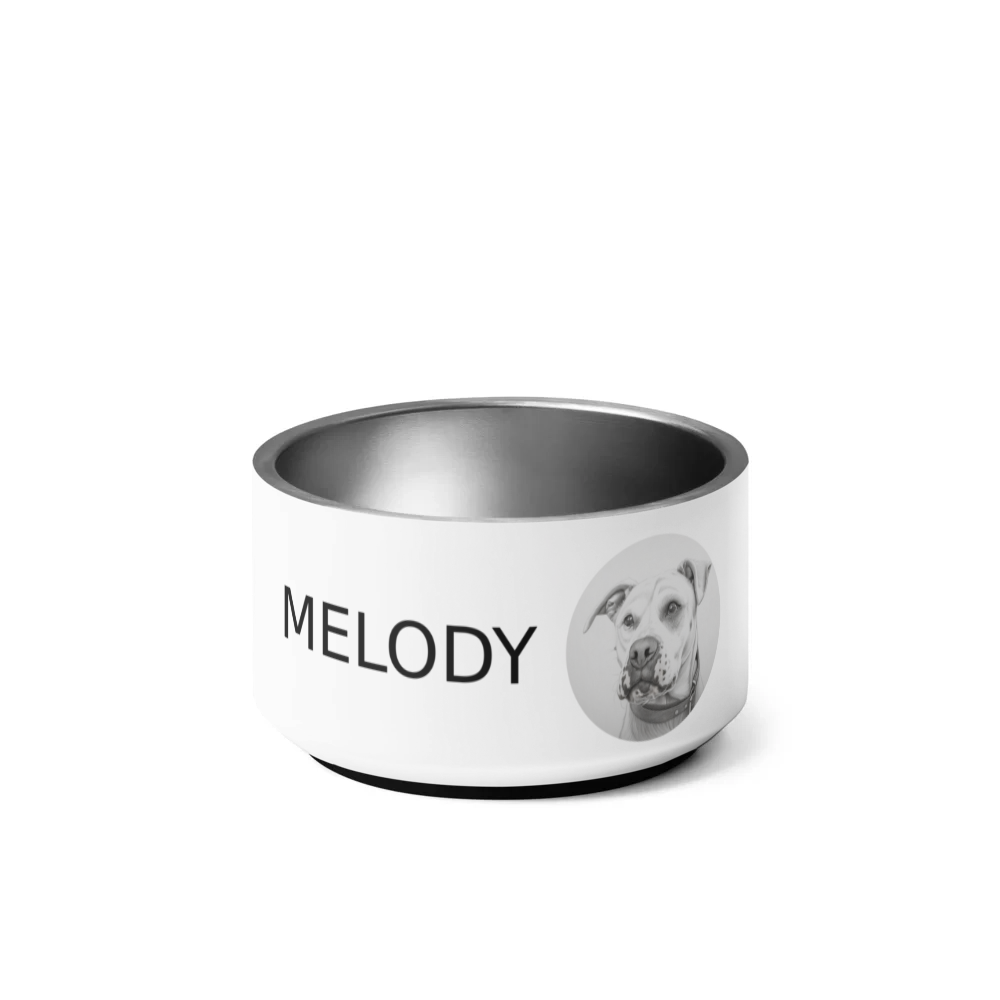 PugMug Custom Melody Pet Bowl