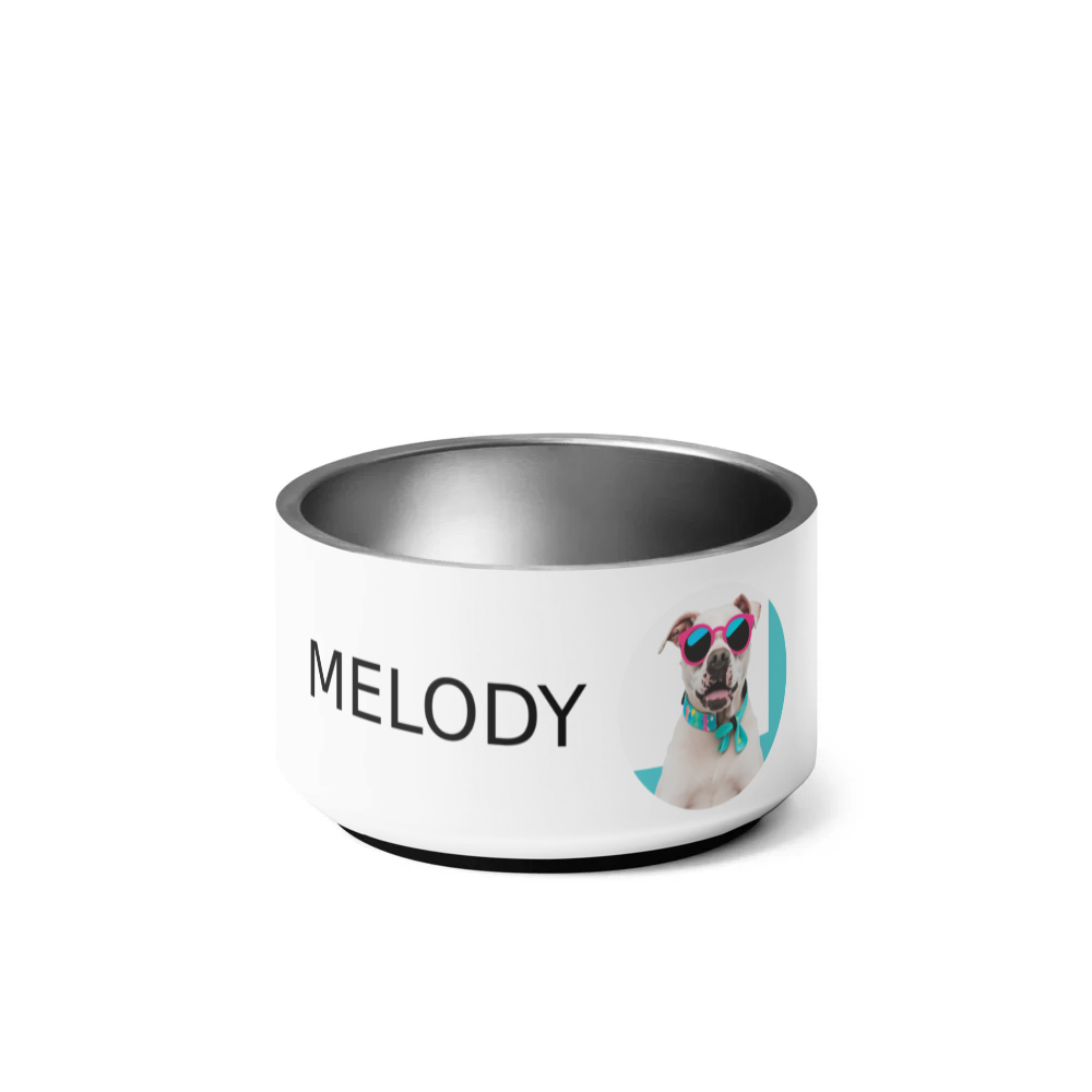 PugMug Custom Melody Pet Bowl