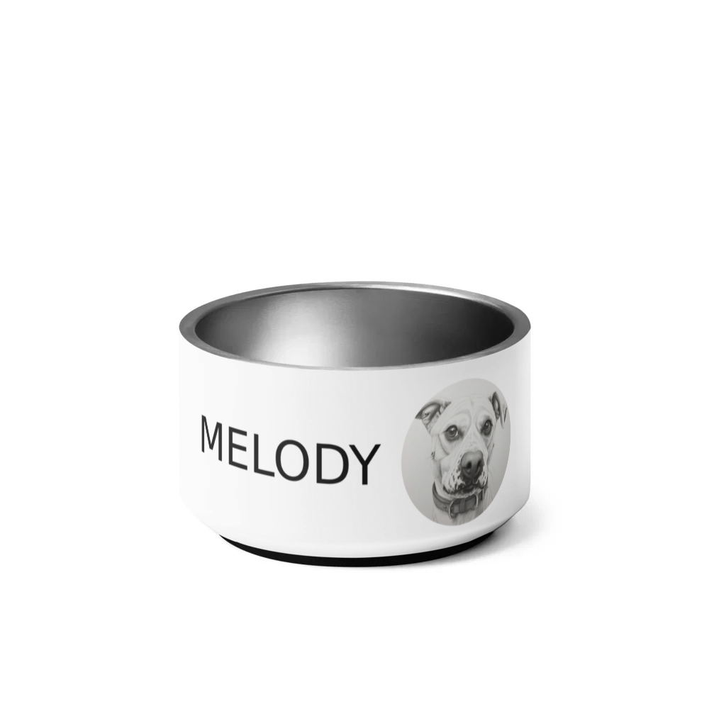 PugMug Custom Melody Pet Bowl