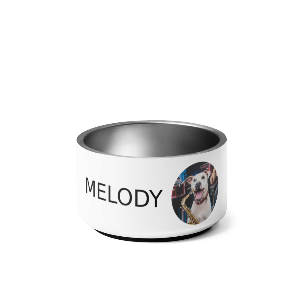 PugMug Custom Melody Pet Bowl