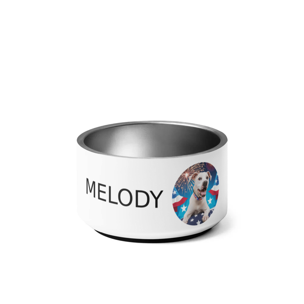 PugMug Custom Melody Pet Bowl