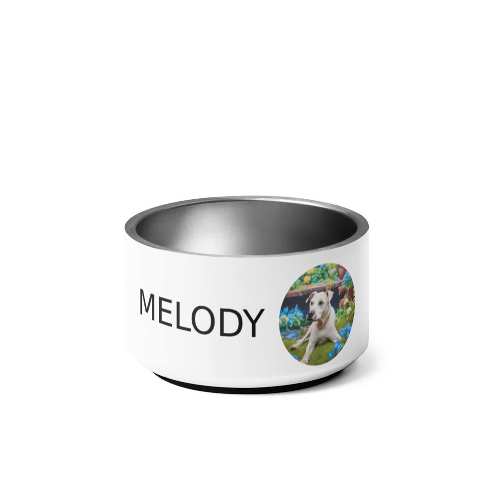 PugMug Custom Melody Pet Bowl