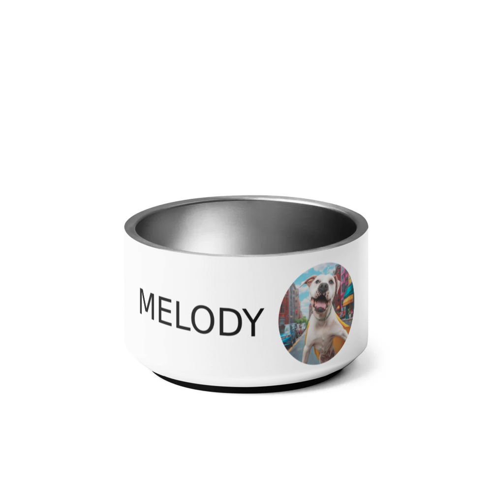 PugMug Custom Melody Pet Bowl