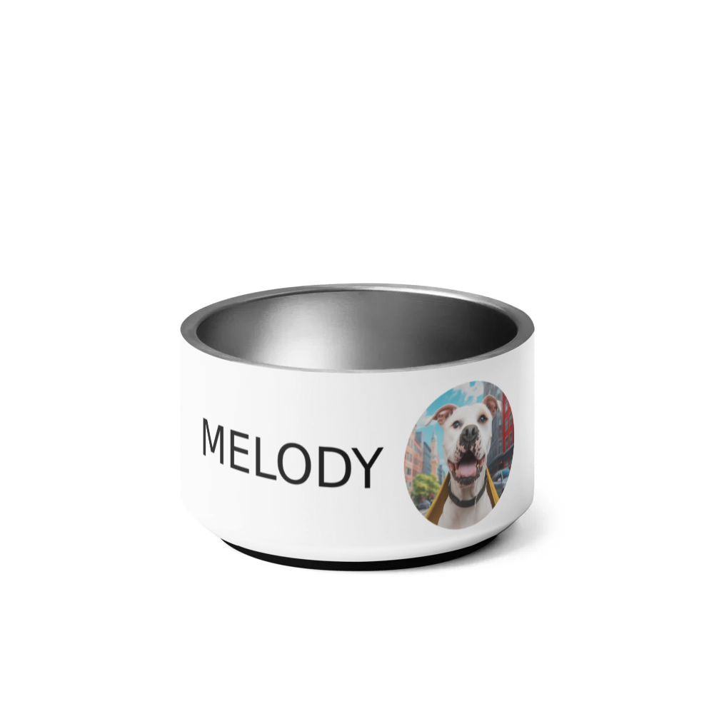 PugMug Custom Melody Pet Bowl