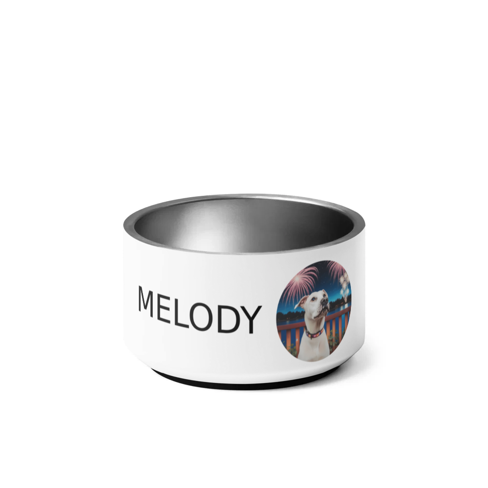 PugMug Custom Melody Pet Bowl