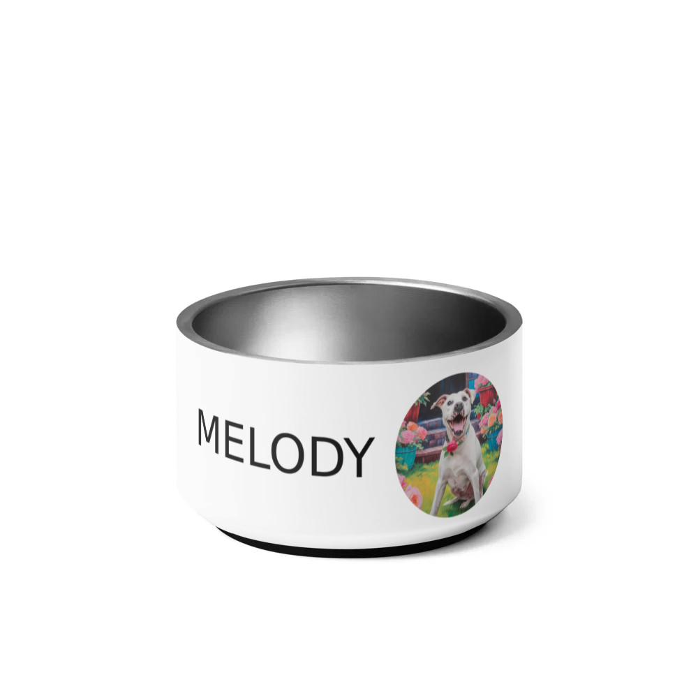 PugMug Custom Melody Pet Bowl