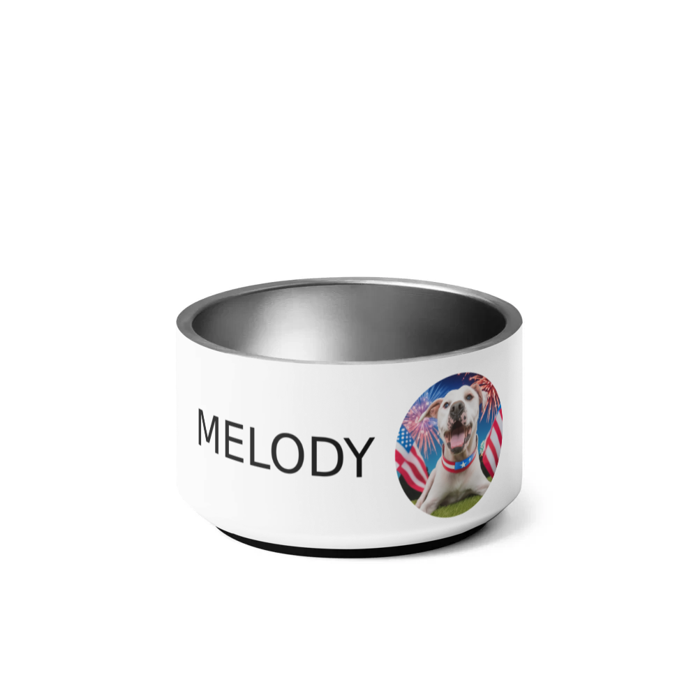 PugMug Custom Melody Pet Bowl