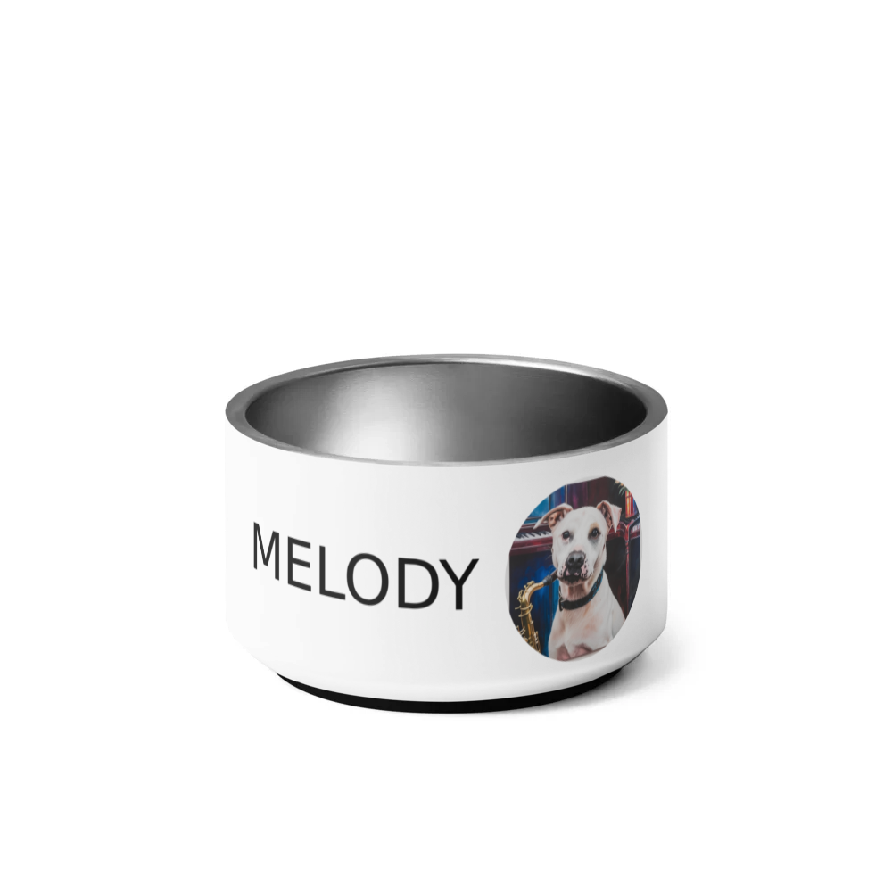 PugMug Custom Melody Pet Bowl