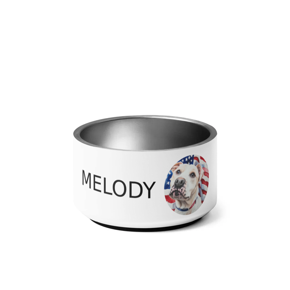 PugMug Custom Melody Pet Bowl