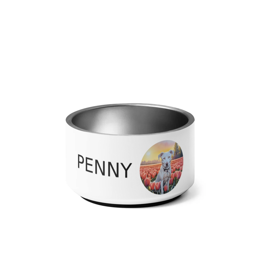 PugMug Custom Penny Pet Bowl