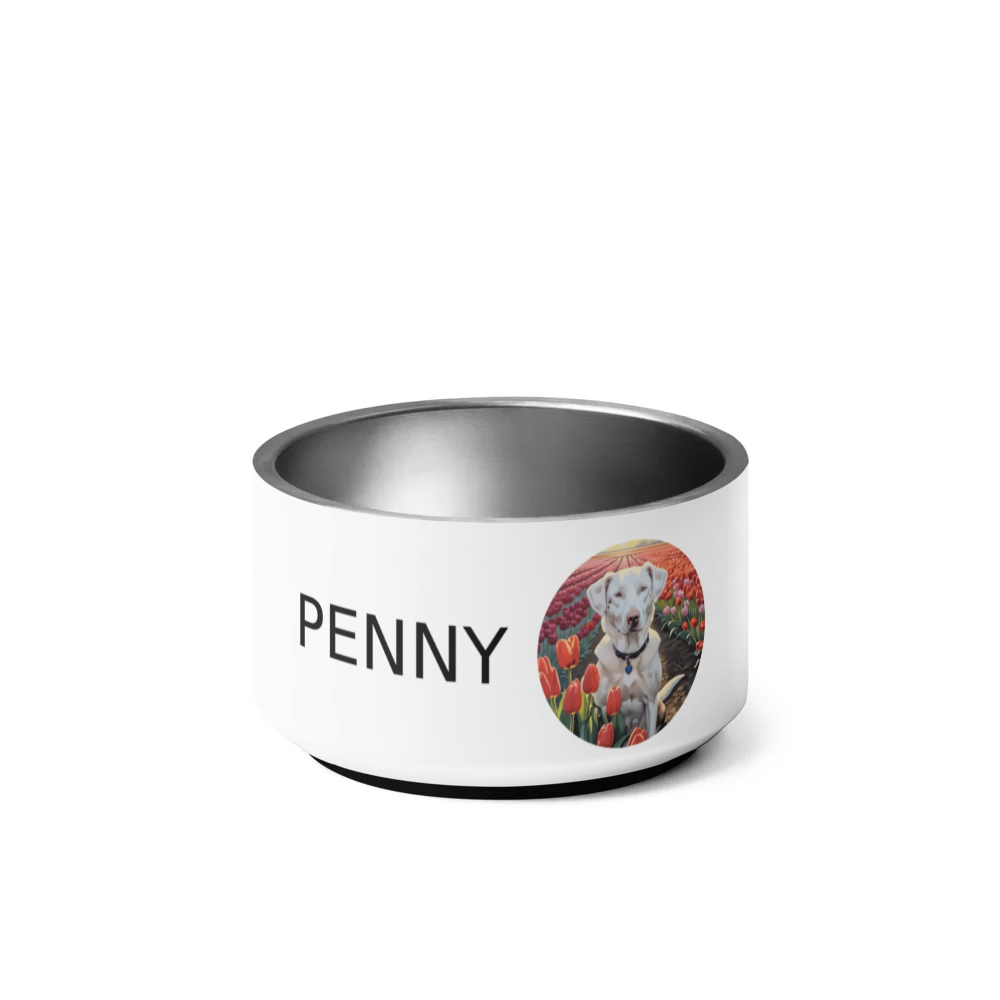 PugMug Custom Penny Pet Bowl