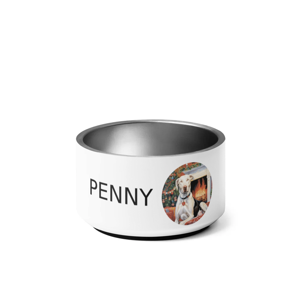PugMug Custom Penny Pet Bowl