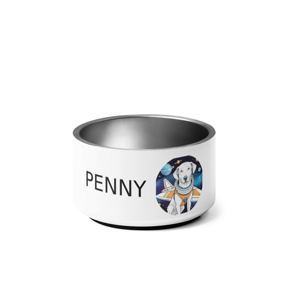 PugMug Custom Penny Pet Bowl
