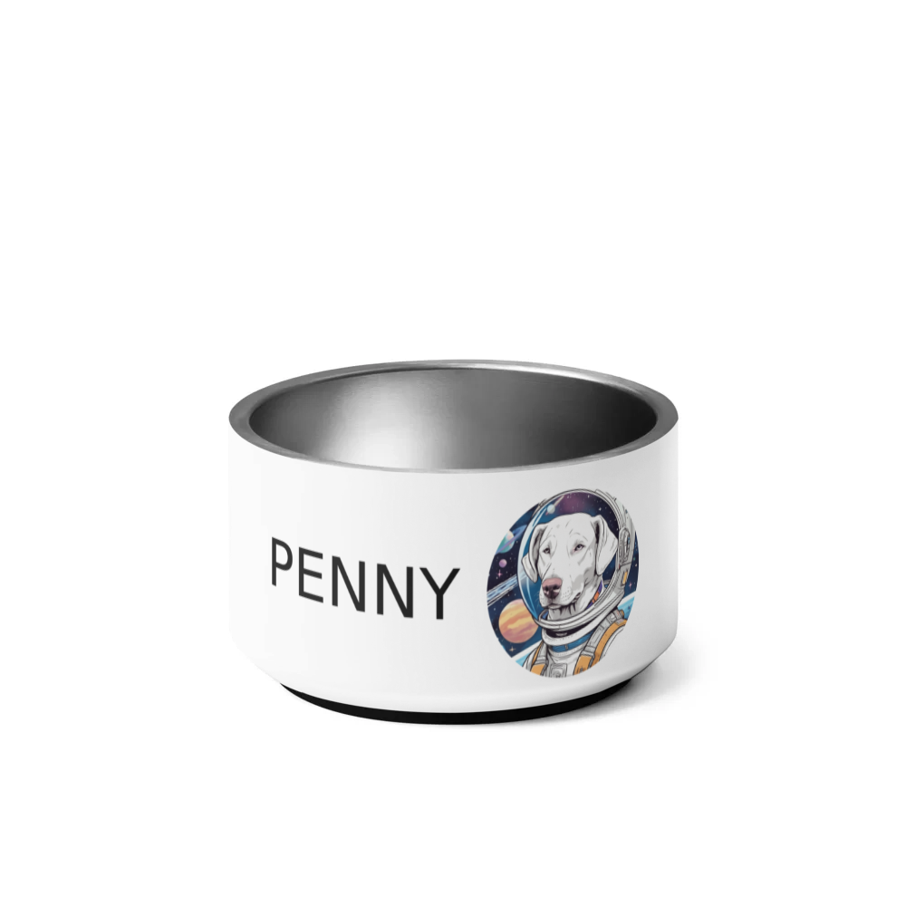 PugMug Custom Penny Pet Bowl