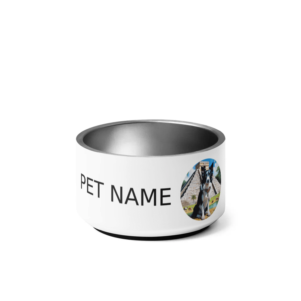 PugMug Custom Border Collie Pet Bowl