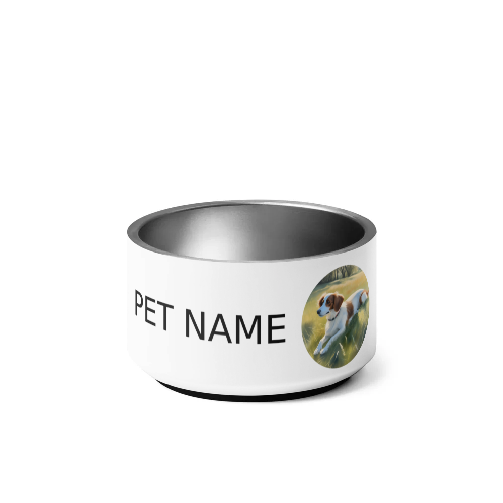 PugMug Custom Brittany Dog Pet Bowl