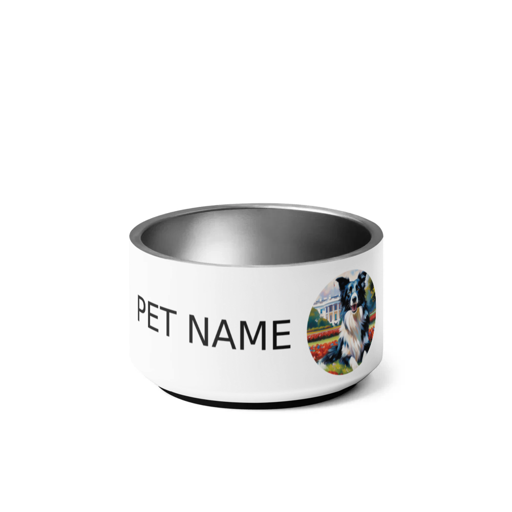 PugMug Custom Border Collie Pet Bowl