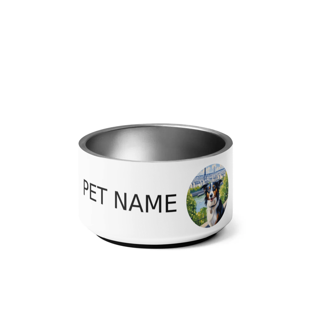 PugMug Custom Border Collie Pet Bowl