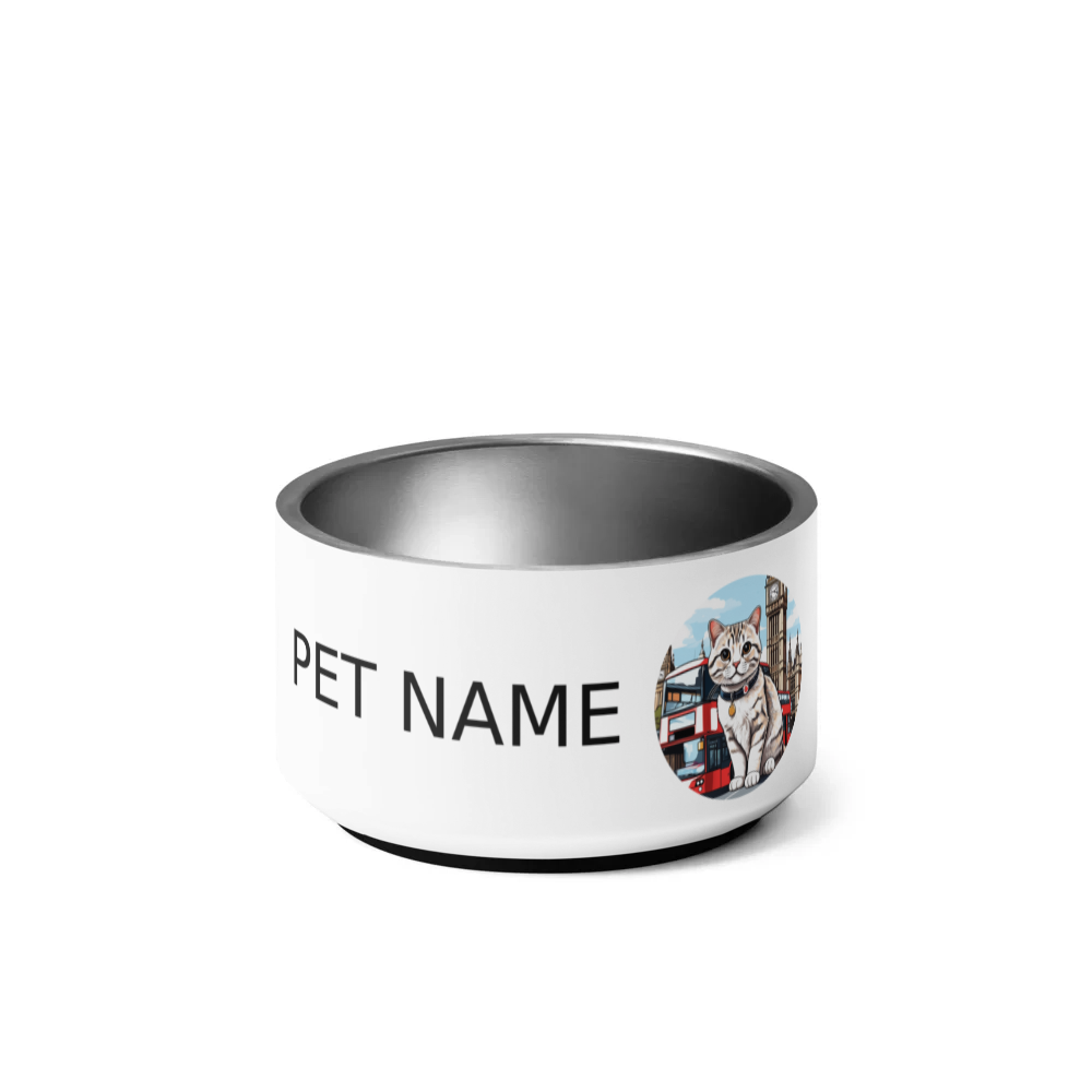 PugMug Custom Tabby Scottish Fold Cat Pet Bowl