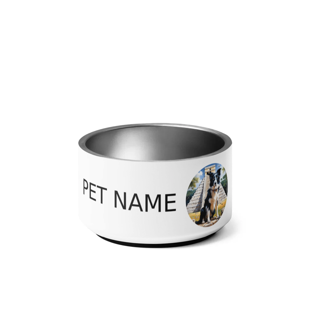 PugMug Custom Border Collie Pet Bowl