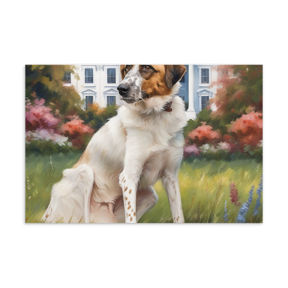 PugMug Custom Hazim Postcard