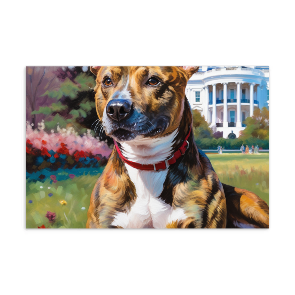 PugMug Custom Tony Hawk Postcard