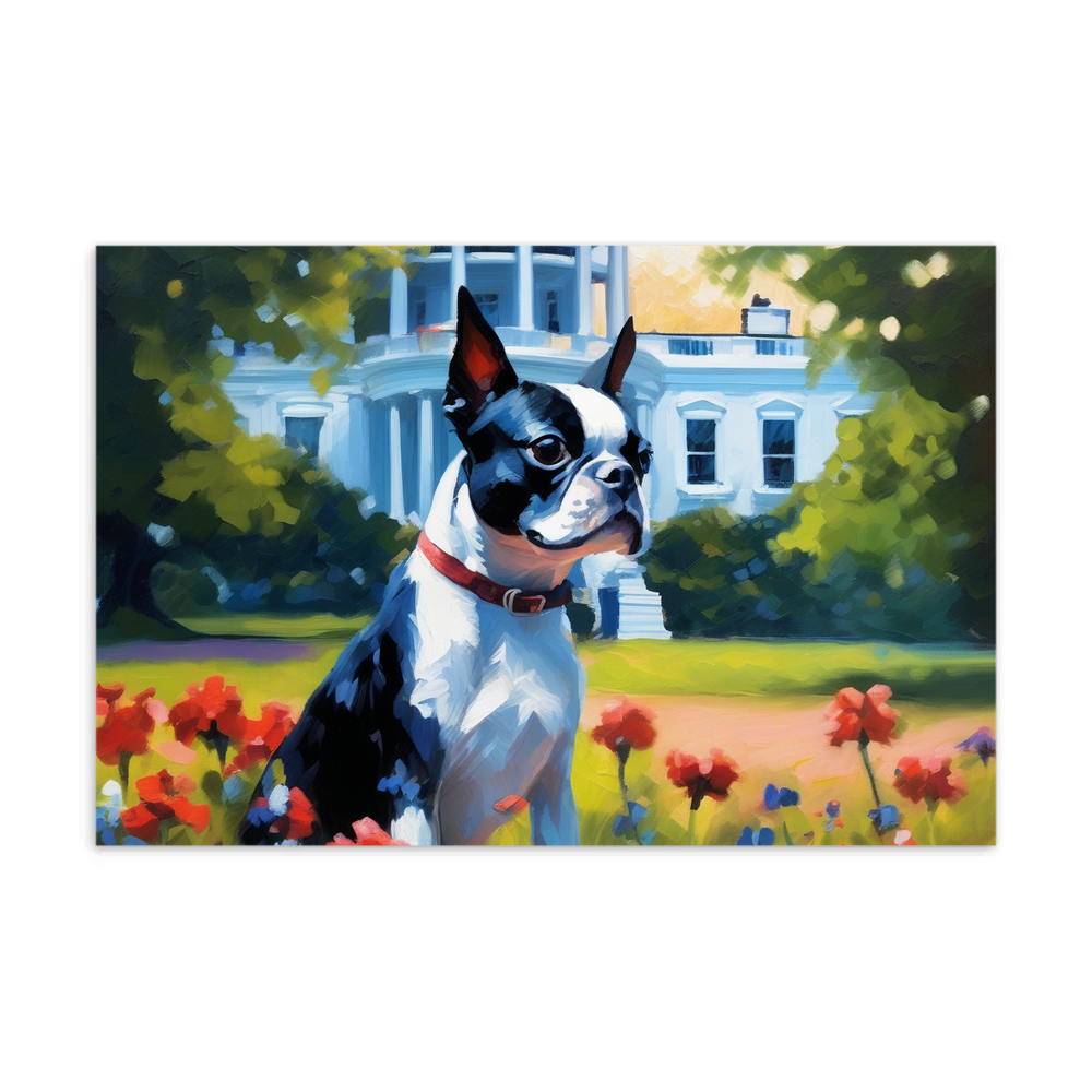 PugMug Custom Boston Terrier Postcard