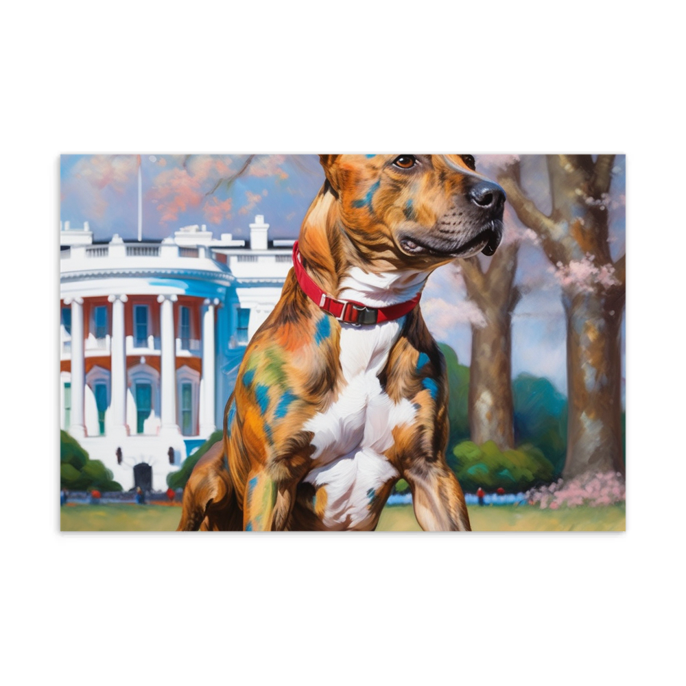 PugMug Custom Tony Hawk Postcard