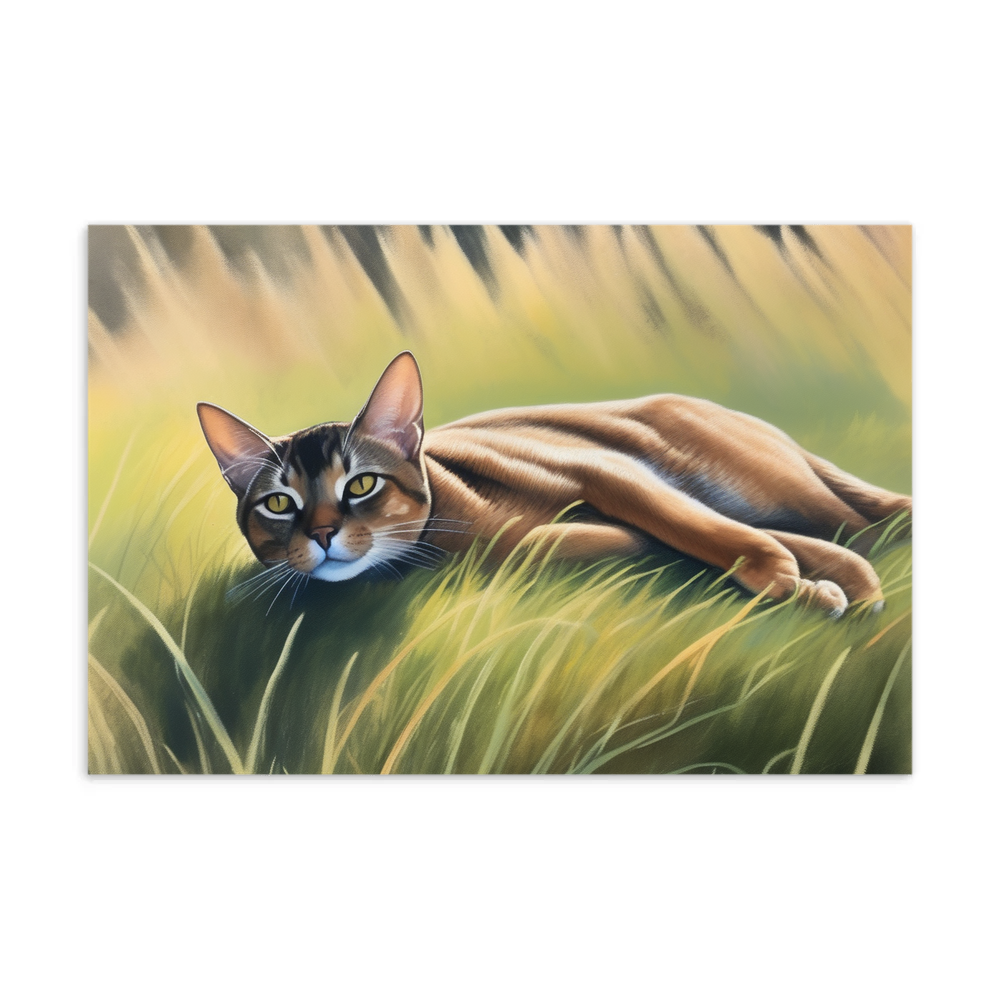 PugMug Custom Tabby Abyssinian Cat Postcard