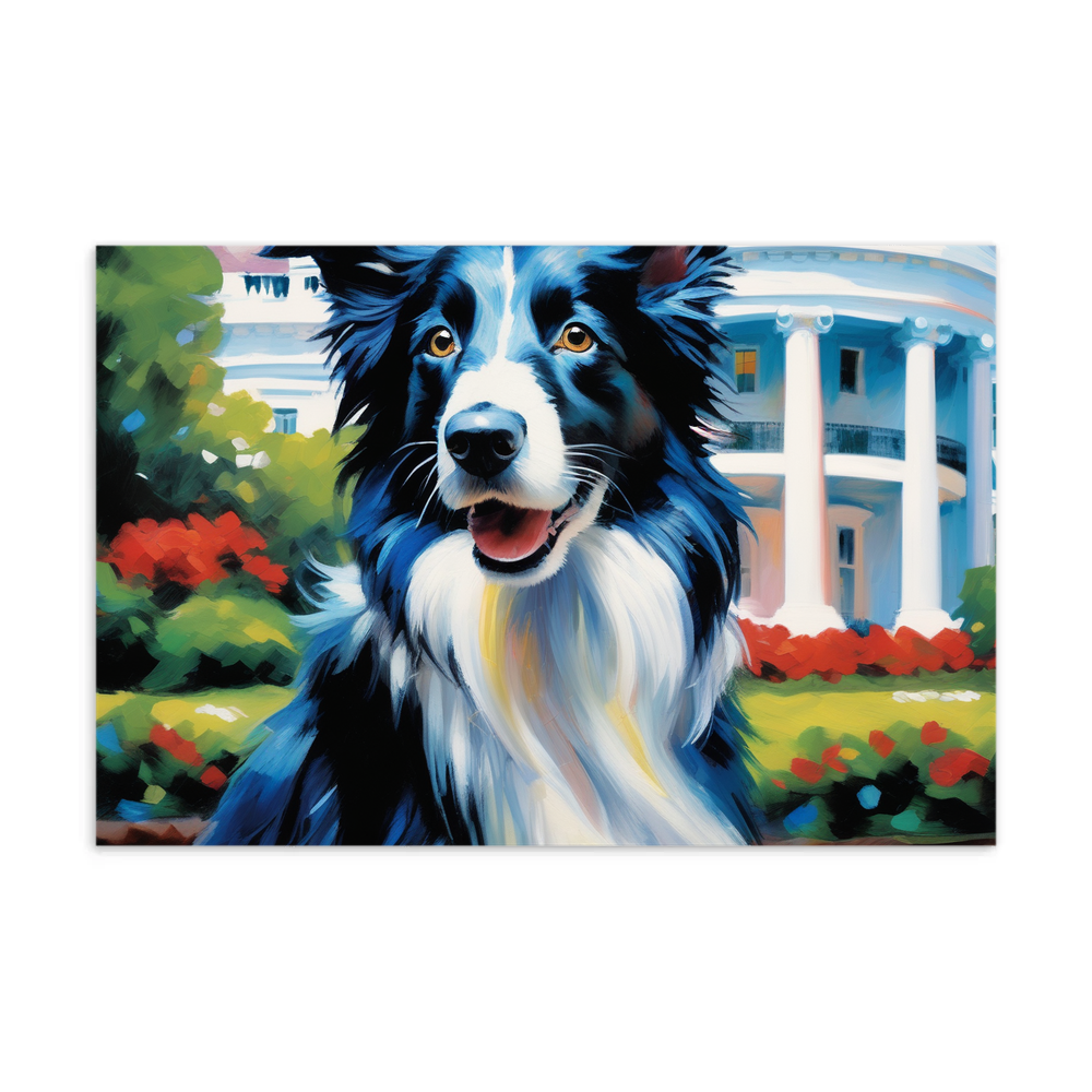 PugMug Custom Border Collie Postcard